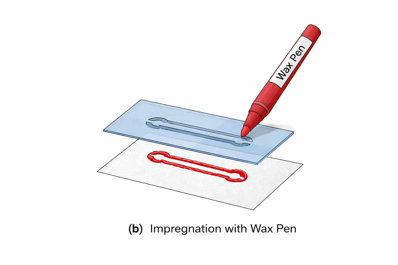 Wax-Patterned Paper Microfluidics image 3